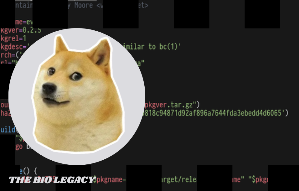 Doge Software Licenses Audit HUD